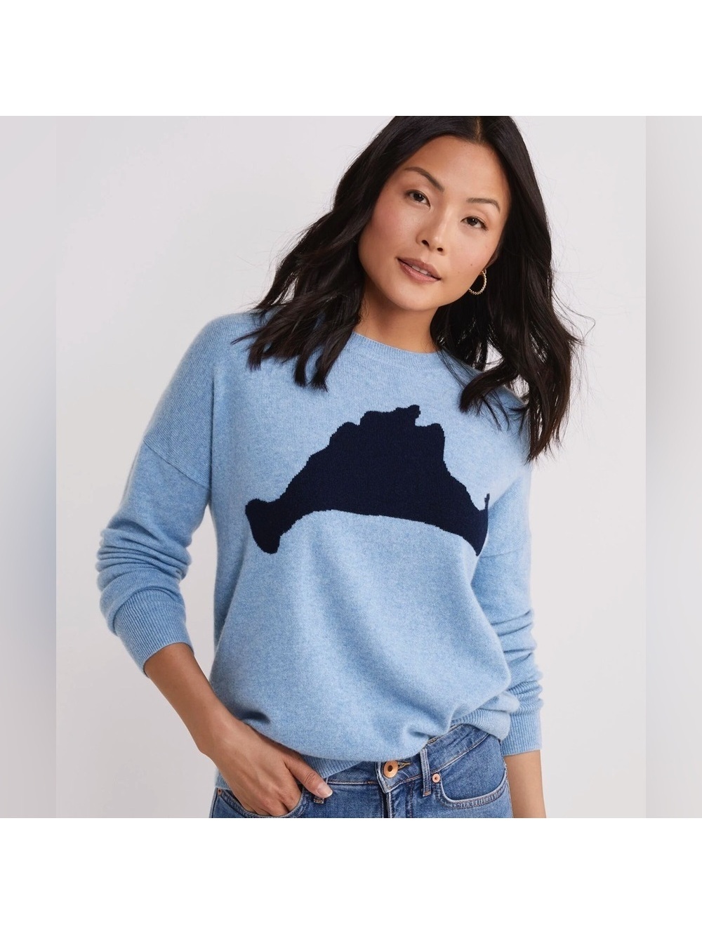 Vineyard Vines Sky Blue Sweater with Navy Motif Retail $348